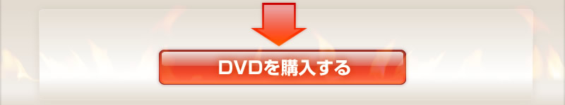 DVD���w������